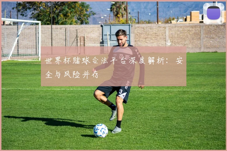世界杯赌球合法平台深度解析：安全与风险并存